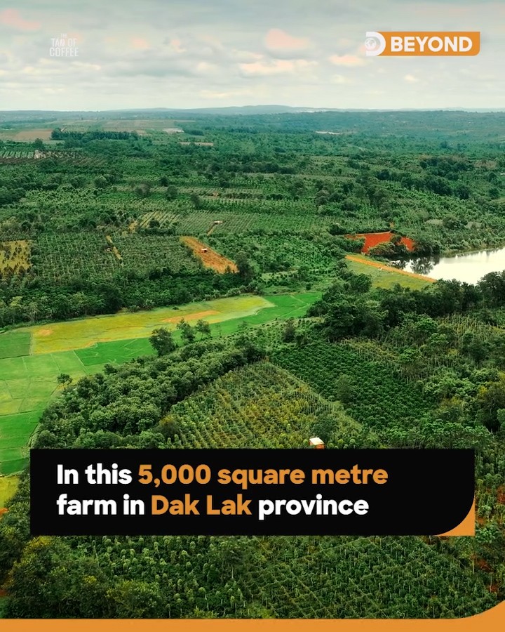 Discovery Channel đưa cà phê Việt Nam lên sóng toàn cầu ảnh 2