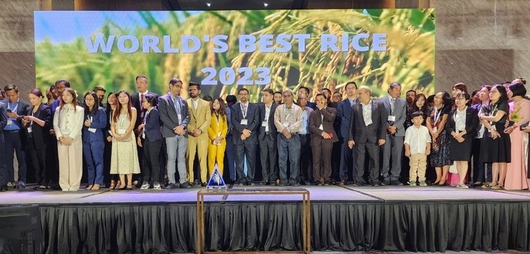 6 loại gạo giúp Việt Nam đạt giải “Gạo ngon nhất thế giới 2023” ảnh 2