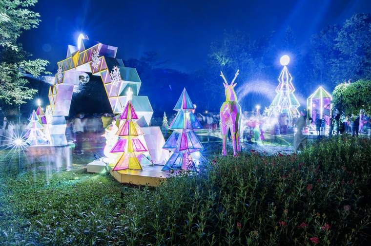 Giáng sinh rực rỡ sắc màu tại “khu rừng pha lê” tuyết trắng Ecopark ảnh 1