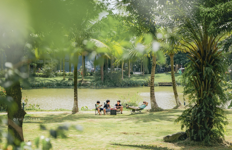 Giáng sinh rực rỡ sắc màu tại “khu rừng pha lê” tuyết trắng Ecopark ảnh 5