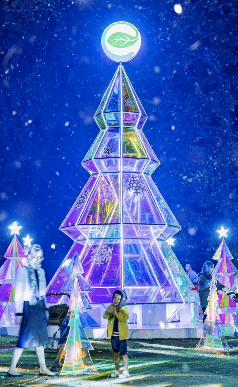 Giáng sinh rực rỡ sắc màu tại “khu rừng pha lê” tuyết trắng Ecopark ảnh 3