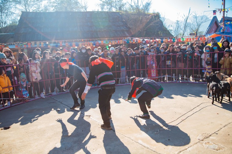 Đón Tết Giáp Thìn 2024, cáp treo Fansipan hoạt động trở lại từ 8/2 ảnh 5