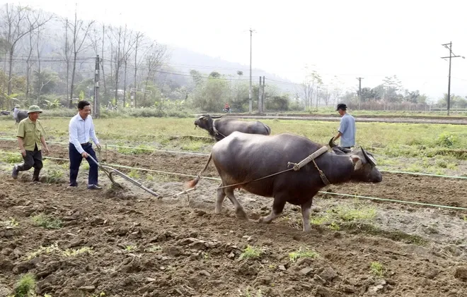 Tưng bừng Lễ hội xuống đồng của người Giáy ảnh 1