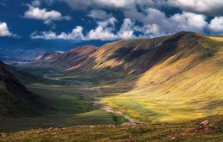 Lưu vực này là nơi duy nhất trên thế giới có hệ sinh thái sa mạc – đài nguyên đúng không?