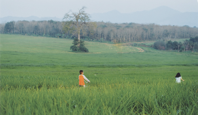 Đồng cỏ rộng hàng ngàn ha mãn nhãn ở Nghệ An “đốn tim” du khách ảnh 1