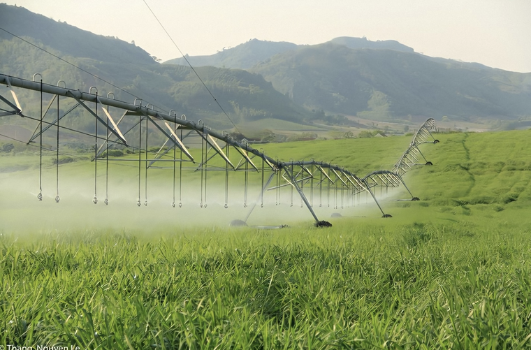 Đồng cỏ rộng hàng ngàn ha mãn nhãn ở Nghệ An “đốn tim” du khách ảnh 9