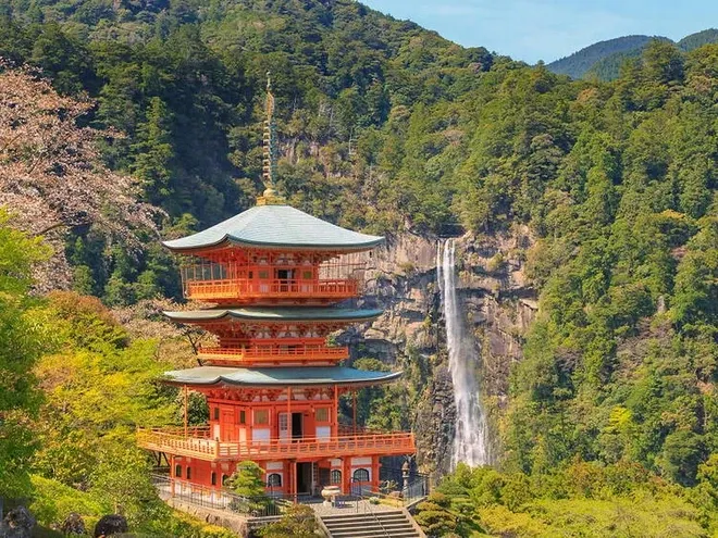 Việt Nam lọt top những địa điểm tốt nhất cho phụ nữ đi du lịch một mình ảnh 1