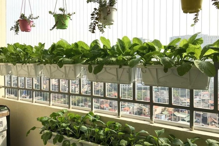 Chuyển đổi xanh bắt đầu từ hành động nhỏ ảnh 1