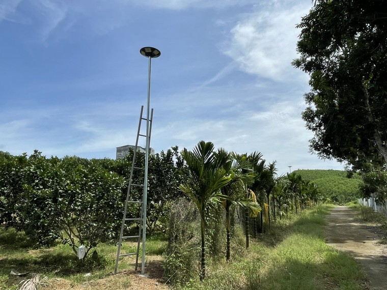 Gia tăng xu hướng sử dụng đèn năng lượng mặt trời tại nông thôn ảnh 2