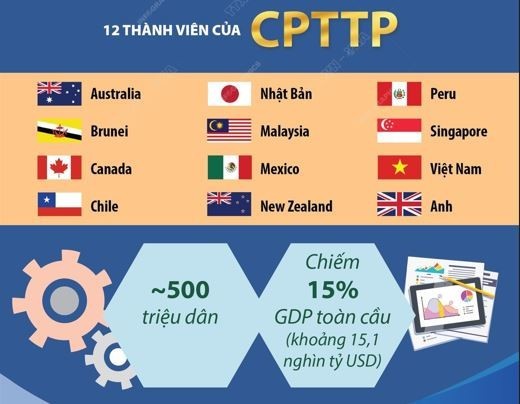 Hiệp định CPTPP: “Đòn bẩy” giúp nâng cao giá trị xuất khẩu hàng Việt ảnh 1