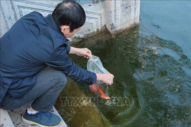 Thả cá chép, tiễn ông Công, ông Táo ảnh 4