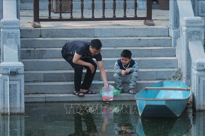 Thả cá chép, tiễn ông Công, ông Táo ảnh 1