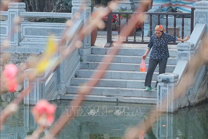 Thả cá chép, tiễn ông Công, ông Táo ảnh 2