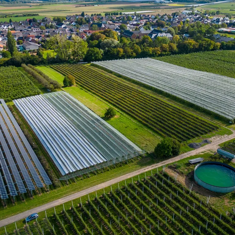 Lợi ích vững bền từ nỗ lực dấn thân của Iceland vào "hành trình xanh" ảnh 2