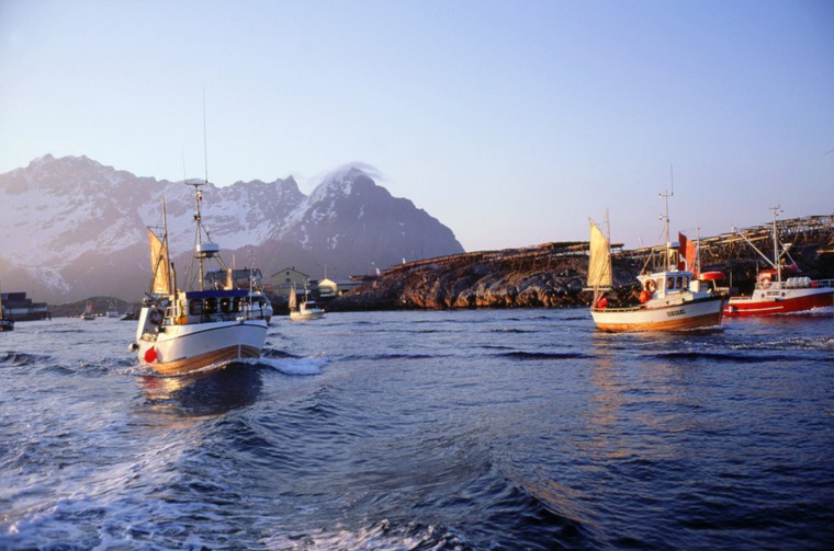 Na Uy: Thúc đẩy công nghiệp hàng hải xanh vì tương lai bền vững ảnh 3