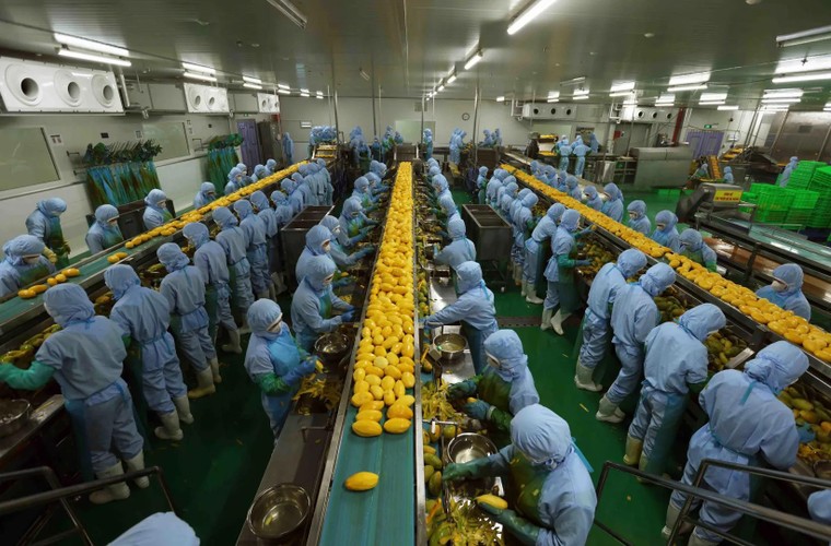 Doanh nghiệp hưởng lợi lâu dài từ thực hành tiêu chuẩn ESG ảnh 3