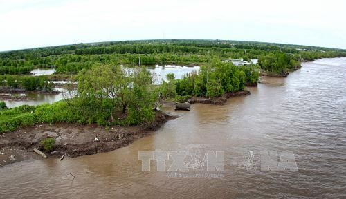 Biến đổi khí hậu và câu chuyện ứng phó từ Việt Nam ảnh 1