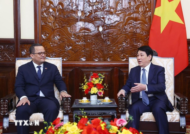 Chủ tịch nước Lương Cường tiếp Đại sứ Cộng hòa Dominicana đến chào từ biệt ảnh 1