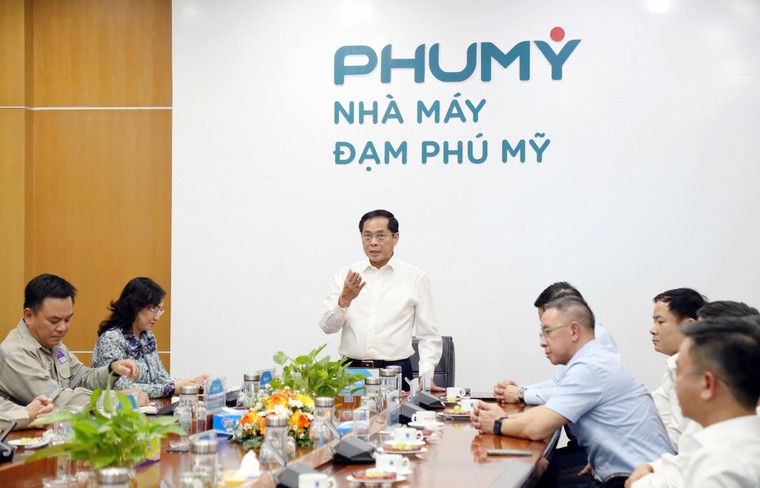 Phó thủ tướng Bùi Thanh Sơn thăm nhà máy Đạm Phú Mỹ ảnh 1