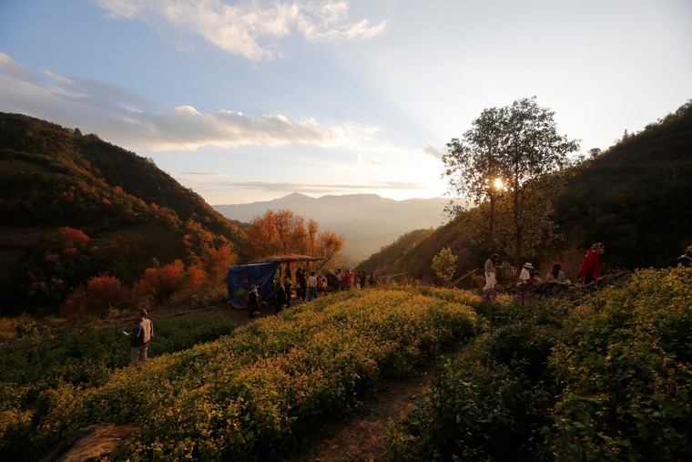 Đưa Mù Cang Chải trở thành điểm đến du lịch tiêu biểu Tây Bắc ảnh 2