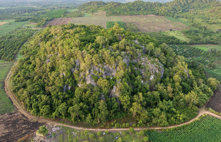 Phát hiện loài rắn lục, rắn bay và thạch sùng mới trong các hang động ở Campuchia ảnh 1