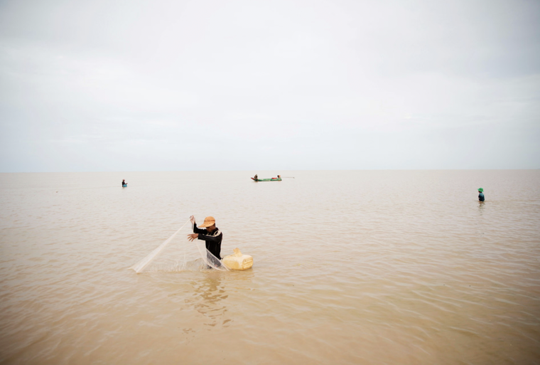 LHQ: Các cuộc di cư của cá sông đang đứng trước “bờ vực sụp đổ” ảnh 1