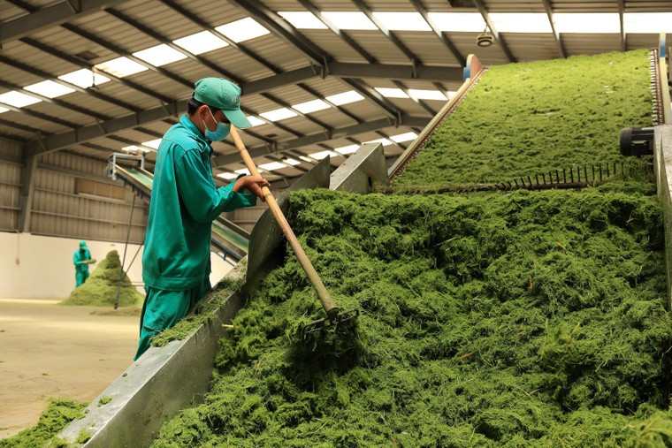 Vinamilk chia sẻ tầm nhìn biến mỗi trang trại thành “tế bào xanh” của nông nghiệp Việt Nam ảnh 3