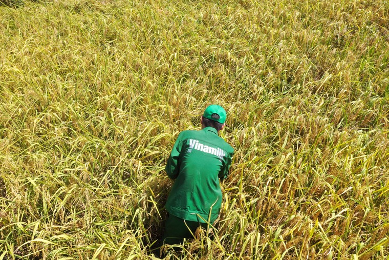 Vinamilk chia sẻ tầm nhìn biến mỗi trang trại thành “tế bào xanh” của nông nghiệp Việt Nam ảnh 4