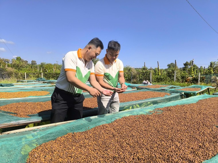 PVFCCo - Phú Mỹ: Niềm tin trọn vẹn với danh hiệu Hàng Việt Nam Chất lượng cao 2026 ảnh 2