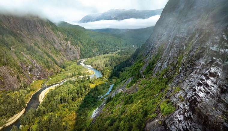 Một thập kỷ theo dấu “bóng ma trắng” của nhiếp ảnh gia người Anh giữa đại ngàn Canada ảnh 4