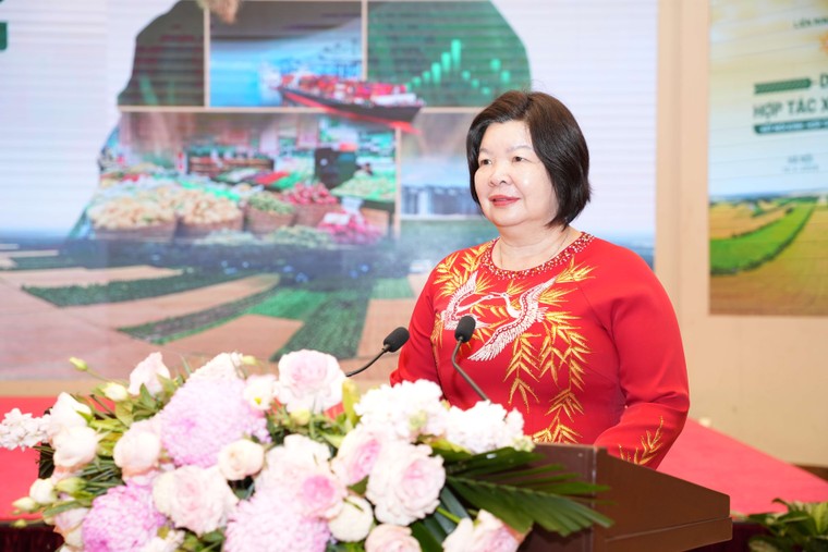 Kết nối kinh tế hợp tác với hệ sinh thái kinh tế tư nhân theo tinh thần Nghị quyết số 68 ảnh 1