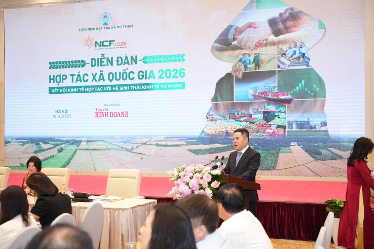 Kết nối kinh tế hợp tác với hệ sinh thái kinh tế tư nhân theo tinh thần Nghị quyết số 68 ảnh 2