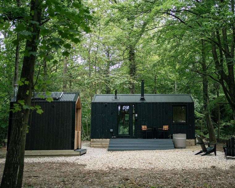 Khám phá “Khu rừng Trăm Mẫu” đời thực trong cuốn sách thiếu nhi Winnie-the-Pooh ảnh 4