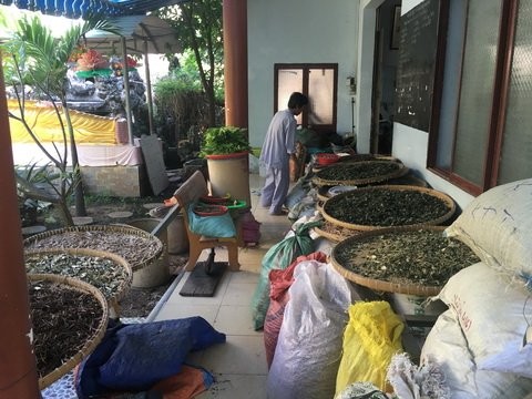 Lạ kỳ ngôi chùa có nhiều bệnh nhân thoát án tử ảnh 1