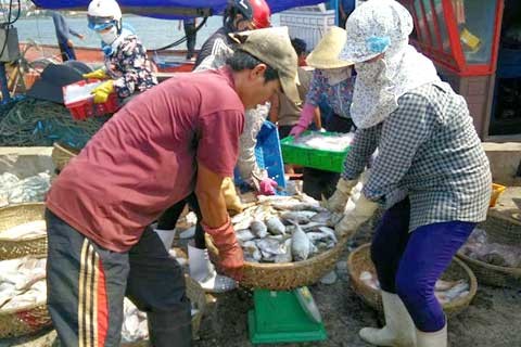 Bồi thường cho ngư dân miền Trung: Đợt 1 phải xong trước Tết ảnh 1