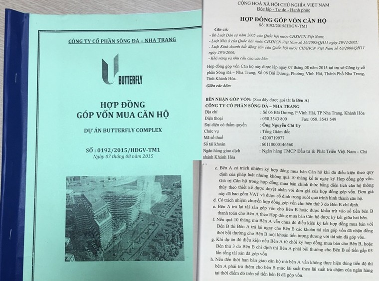 Sai phạm nghiêm trọng tại Dự án Butterfly Tower (Nha Trang) ảnh 1