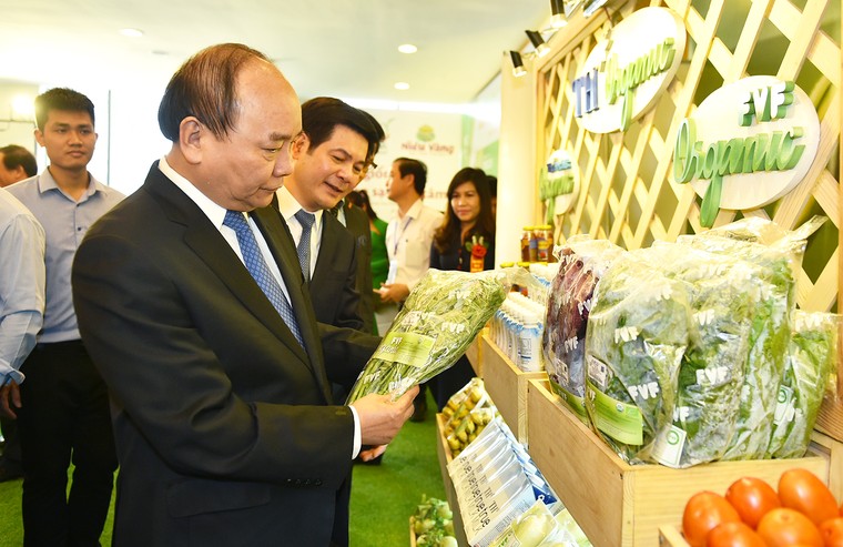 Thủ tướng: Thái Bình cần mở rộng không gian ra Biển Đông ảnh 2