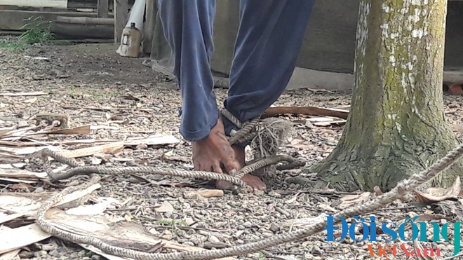  Nghẹn ngào ước vọng cuối đời cùng 6 con... uống thuốc độc tự vẫn của người mẹ già ảnh 4