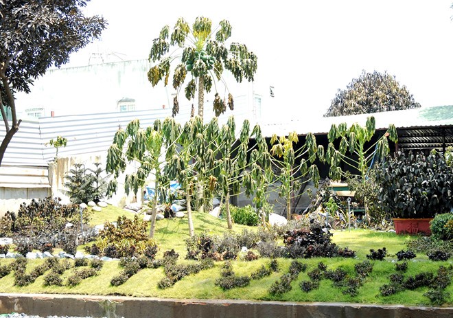 Sơ tán khẩn cấp gần 1.300 người sau sự cố rò rỉ khí amoniac ở Sài Gòn ảnh 1