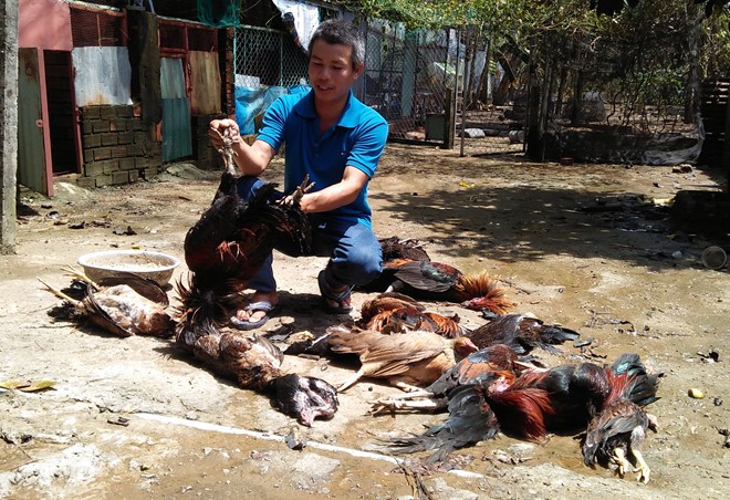 Sơ tán khẩn cấp gần 1.300 người sau sự cố rò rỉ khí amoniac ở Sài Gòn ảnh 2