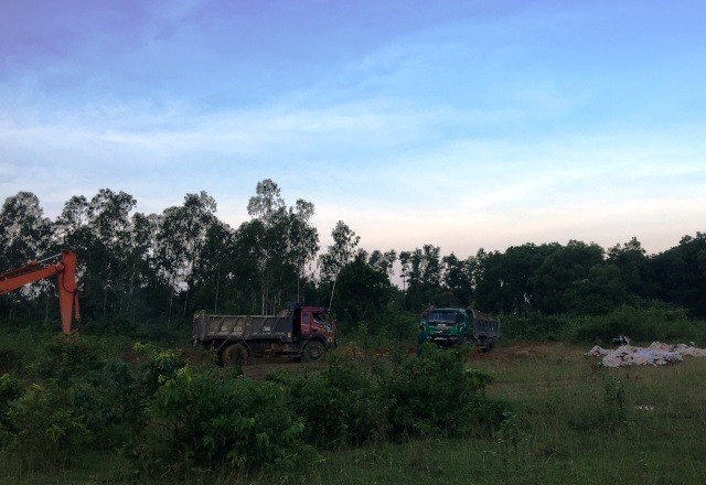 Đóng bì chôn hàng nghìn con lợn bị chết đuối ở Thanh Hóa ảnh 9