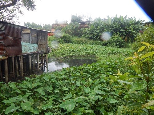 TP.Huế: Nhiều năm chịu đựng ô nhiễm, dân Hộ Thành hào tha thiết sớm di dời ảnh 4