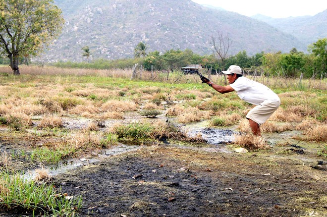 Xác định nguyên nhân nước gần bãi xỉ Nhiệt điện Vĩnh Tân nhiễm mặn ảnh 1