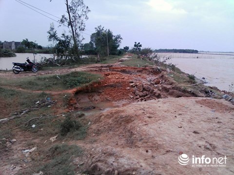 Quảng Bình: Hàng trăm ha đất lúa nhiễm mặn, dân cầu trời mưa ảnh 2