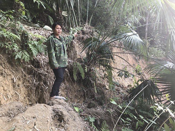 Cẩm Thủy (Thanh Hóa): Cần làm rõ nguyên nhân vết nứt, sụt lún đất đồi kéo dài hàng trăm mét ảnh 2