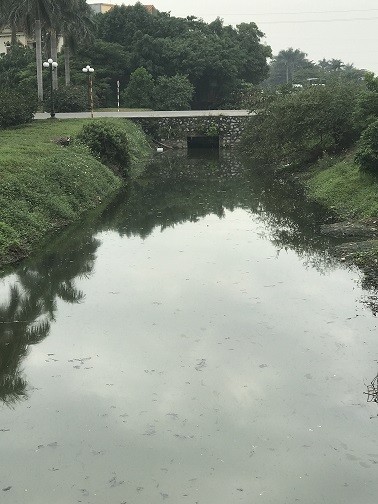 Hải Dương: Dân bỏ ruộng có phải vì ô nhiễm? ảnh 1