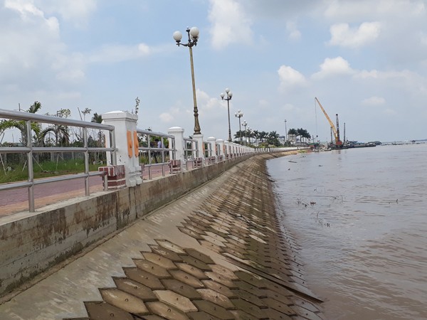 Đồng Tháp: Chủ động đối phó tình hình sạt lở ven sông ảnh 1