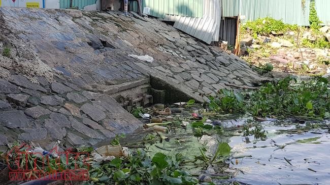 Siêu máy bơm ở TP Hồ Chí Minh ‘đuối sức’ trước nước sông kết hợp mưa to ảnh 1