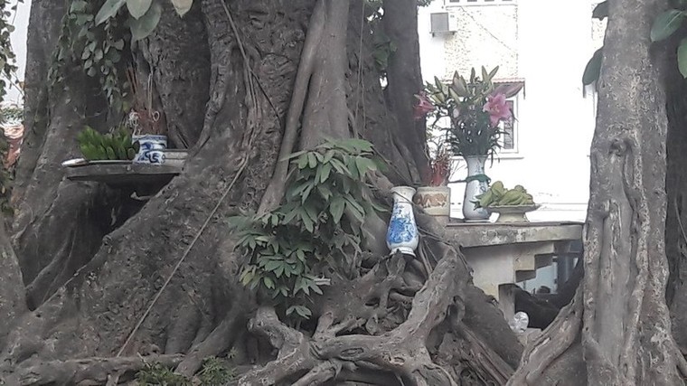 Chuyện về những ngôi cổ miếu thiêng trong tiềm thức người Hà Nội ảnh 4