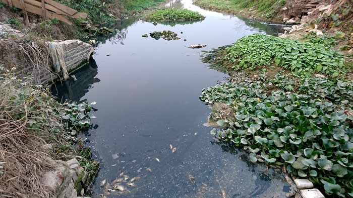 Tại quận Hà Đông: Cần làm rõ vấn đề xả thải vào kênh Thanh Niên ảnh 2